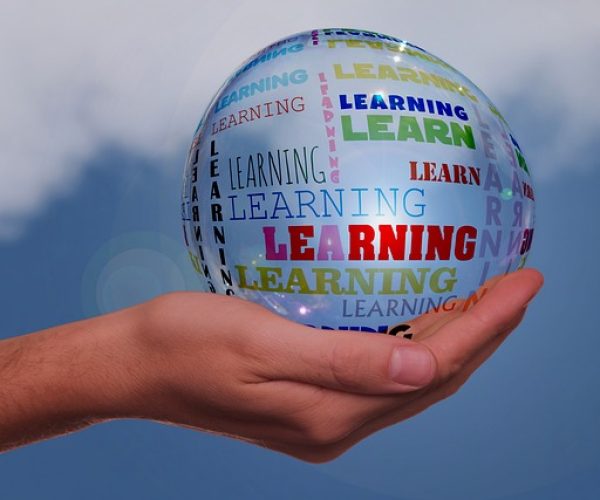 Image of a hand holding a spherical ball with learning words